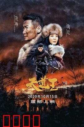 天道王：深山猎户抗日传奇