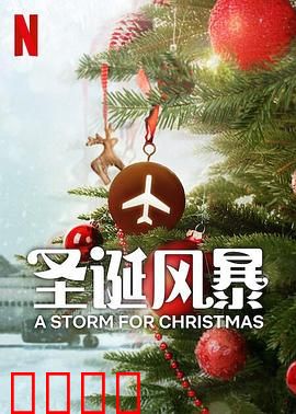 圣诞风暴：风雪归途