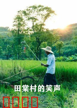 田棠村的笑声：乡村振兴的喜悦