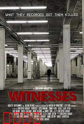 目击者2019：悬疑反转