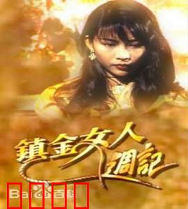 镇金女人周记粤语：金领的挣扎