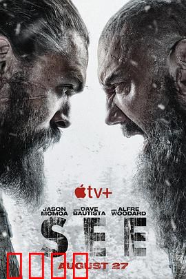 看见第二季：迷雾中的真相