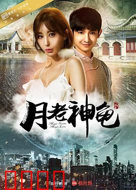 月老神龟：萌宠牵线奇缘