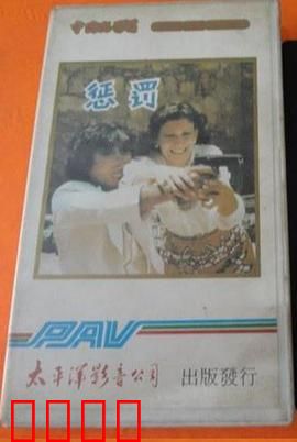 惩罚1980：铁窗下的冤屈