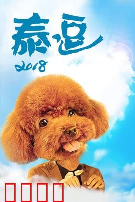 泰逗2018：爆笑旅行记