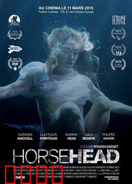 马头：梦境与现实交织