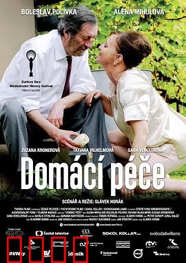 家庭护理：保姆的秘密