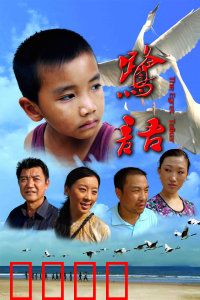 鹭语：人鸟情缘