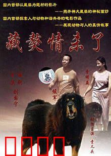 藏獒情未了：雪域忠犬奇缘