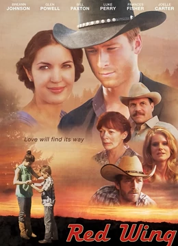 隐形红翼：隐形的代价