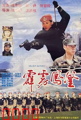 霹雳凤凰：女警双雄