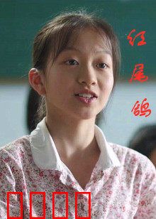 红尾鸽：信使传奇