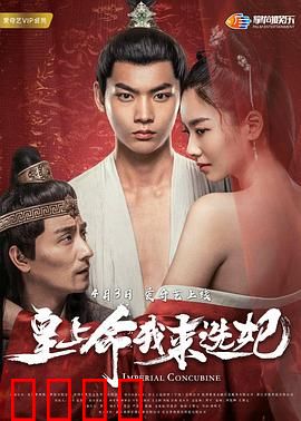 皇上命我来选妃：爆笑穿越选妃