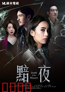 黯夜：阴影中的真相