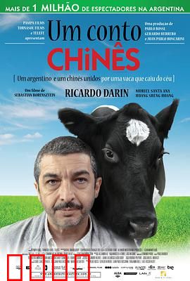 一丝偶然：阿根廷奇遇记