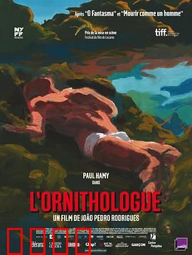 鸟类学家：寂静之地的预言