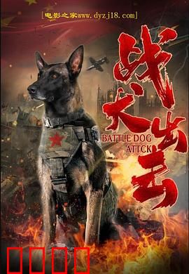战犬出击：忠诚守护