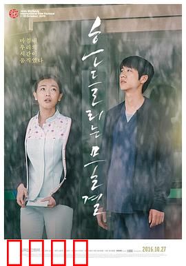 绽放2015：青春舞曲