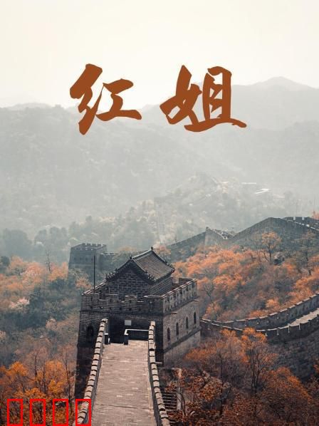 红姐2017：女警复仇记