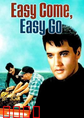 来去匆匆：人生逆旅的抉择