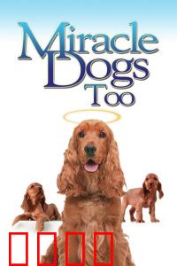 天降神犬2：萌犬侦探归来