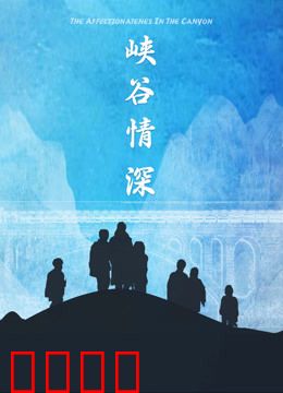 峡谷情深：战地恋曲