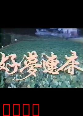 好梦连床：梦境与现实的纠缠