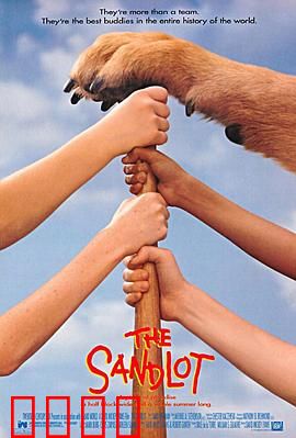 沙地传奇：童年的棒球梦