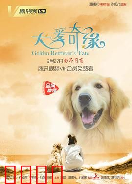 犬爱奇缘：跨越物种的深情守护