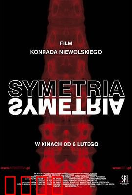 对称：命运之镜