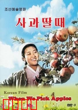 摘苹果的时候：丰收的赞歌
