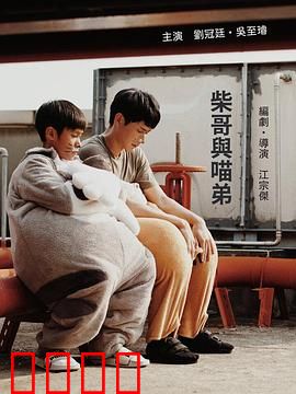 柴哥与喵弟：跨越种族的治愈之旅