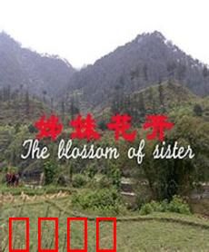 姊妹花开：姐妹情深