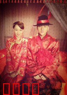 猛虎嗅蔷薇：血与花的救赎