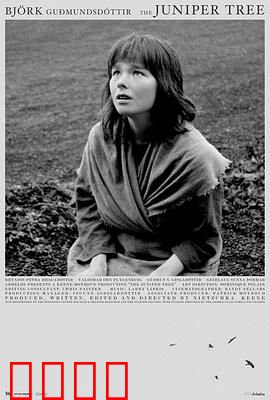 女巫恋人：禁忌之吻