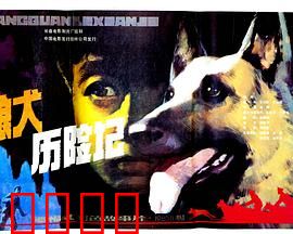 狼犬历险记：忠诚伙伴