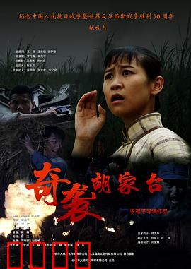 奇袭胡家台：抗日奇兵