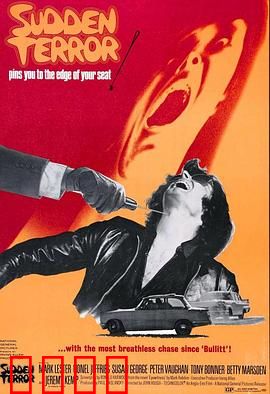 小英雄与大刺客：剑胆琴心