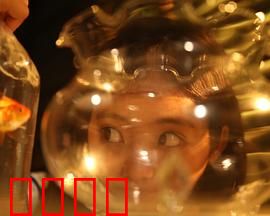 樓上樓下：邻里间的秘密