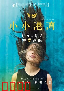 小小港湾：温暖治愈之旅