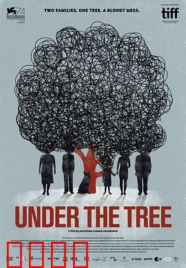 树下惊魂：迷雾中的真相