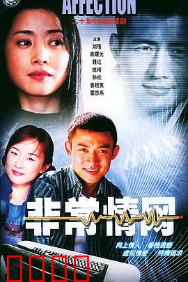 非常情网：虚拟迷情