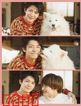 爱你汪汪：萌宠治愈之旅