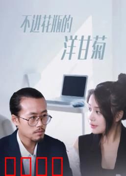 不进花瓶的洋甘菊：自由之魂