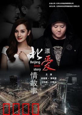 北漂爱情故事2016：梦想与现实的抉择