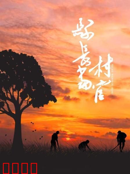 县长当村官：基层新考验