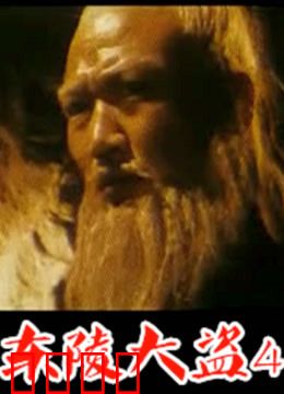 东陵大盗：盗墓者的疯狂一夜