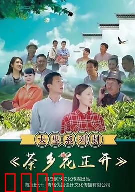 茶乡花正开：茶园里的爱情与乡村振兴
