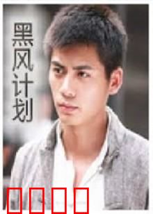 不良英雄：颠覆传统的救赎