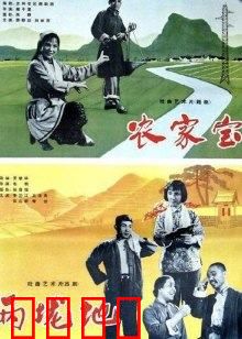 农家宝：传家之宝的传奇